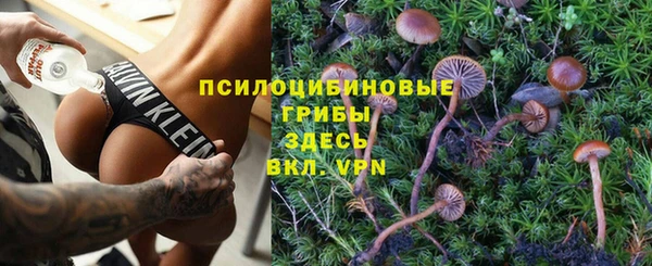 spice Алзамай