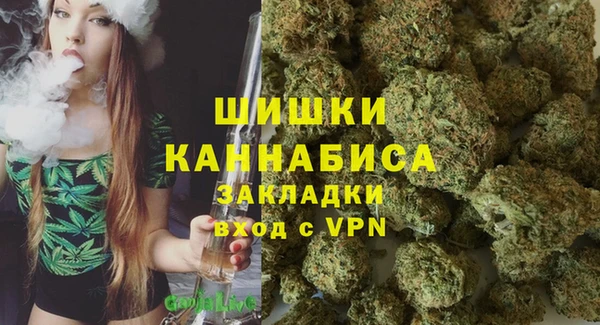 spice Алзамай