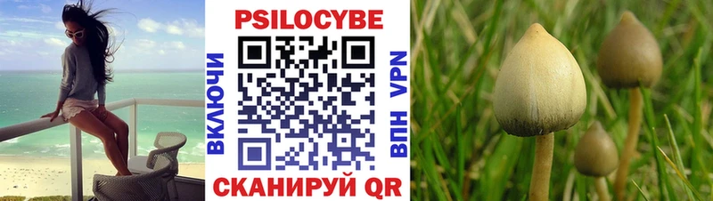 Галлюциногенные грибы прущие грибы Нижнеудинск