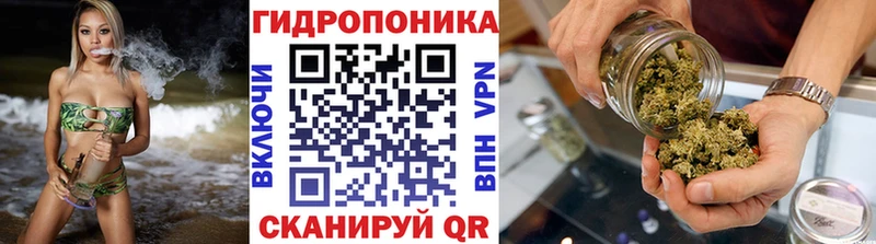 кракен как войти  Нижнеудинск  Марихуана OG Kush 